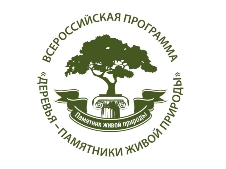 ВЫБИРАЕМ ДЕРЕВО ГОДА - 2025.